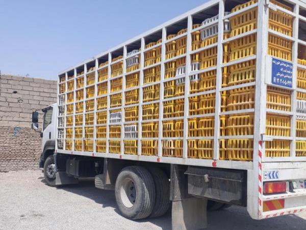 توزیع کننده قفس حمل مرغ درجه یک در تبریز