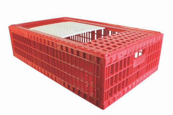 فروش ویژه قفس حمل مرغ زنده در همدان