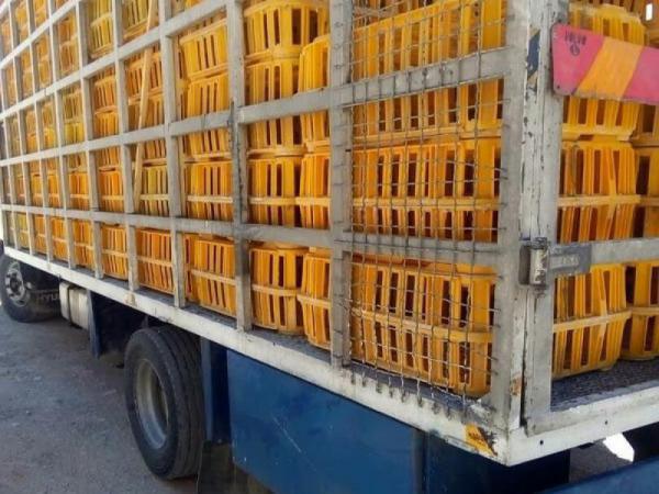 خرید مستقیم سبد حمل مرغ کشتارگاهی در ایران