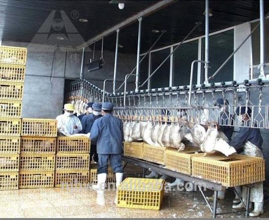 قیمت روز قفس حمل مرغ زنده در تبریز