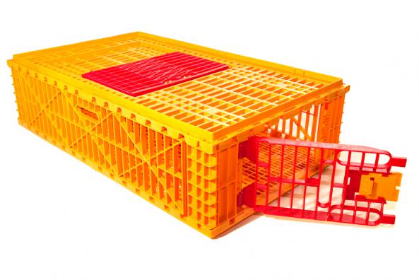 توزیع عمده قفس حمل مرغ رنگی صادراتی