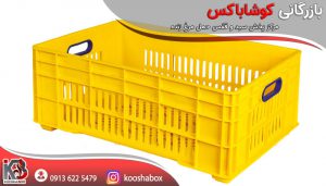 پخش سبد حمل مرغ گرم کشتارگاهی