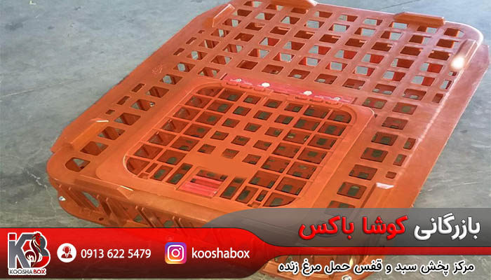 صادرات سبد حمل مرغ زنده اصفهان