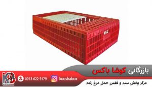پخش عمده جعبه حمل مرغ زنده صادراتی